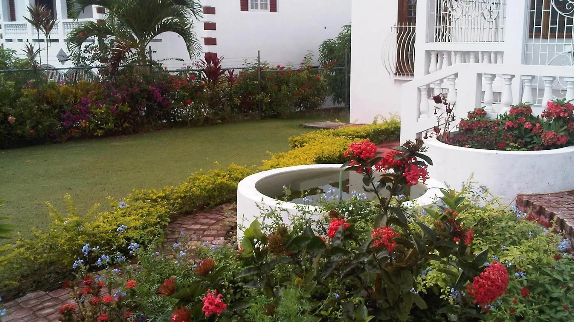 Guest house Melrose Place Montego Bay