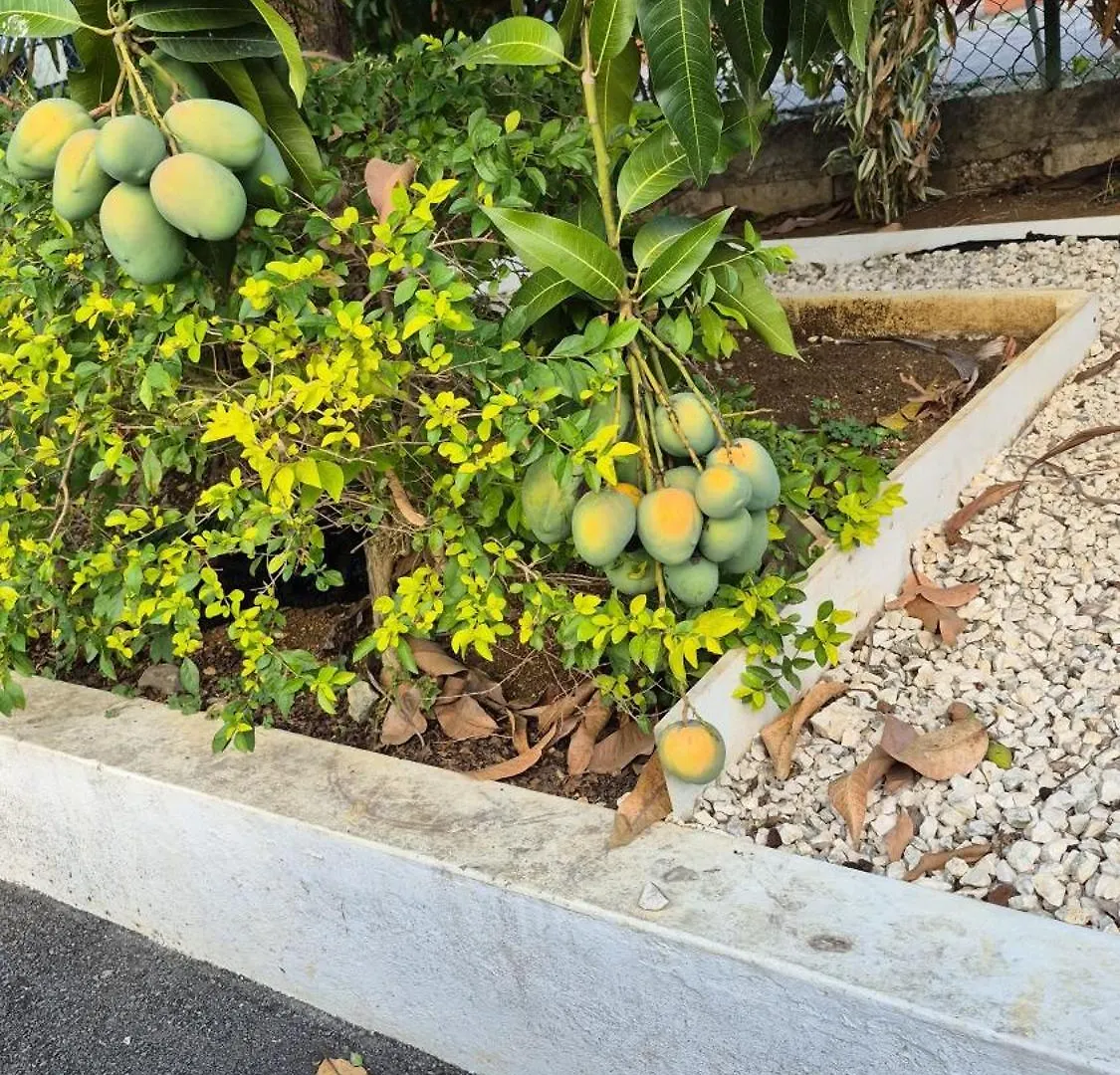 Melrose Place Montego Bay Guest house